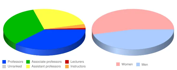 Washington & Jefferson College Faculty Demographics Chart