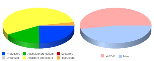 Wells College Faculty Demographics Chart