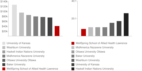 WellSpring School of Allied Health Lawrence Faculty Compensation and Workload Chart