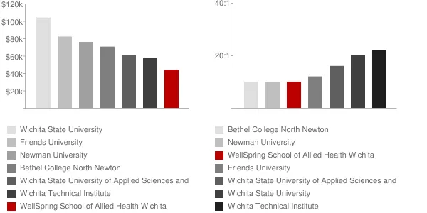 WellSpring School of Allied Health Wichita Faculty Compensation and Workload Chart