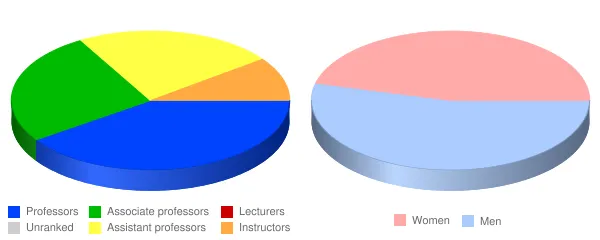 Western New England University Faculty Demographics Chart