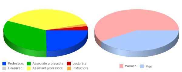Widener University Faculty Demographics Chart