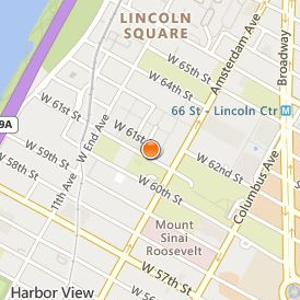 American Musical and Dramatic Academy Location Map - Street View