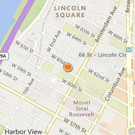 American Musical and Dramatic Academy Location Map - Street View