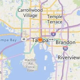 Schiller International University Location Map - City View