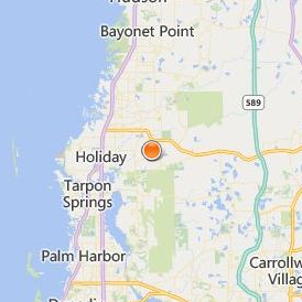 Trinity College of Florida Location Map - City View
